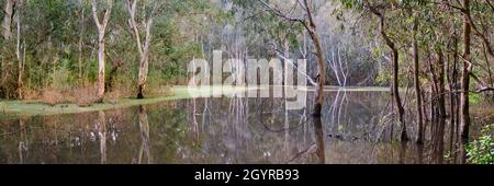 Panorama di Billabong Foto Stock