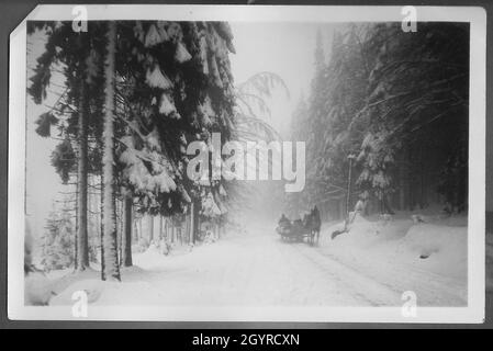 Nevica strada forestale con carrozza a cavallo nella nebbia Foto Stock