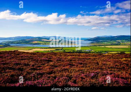 Lough Swilly e Inch Island da Grianan di Aileagh, Contea di Donegal, Irlanda Foto Stock