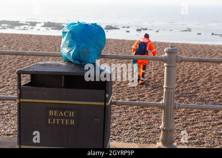 collezione di cuccioli da spiaggia, uomo che raccoglie cuccioli dalla spiaggia, hastings, sussex est, regno unito Foto Stock