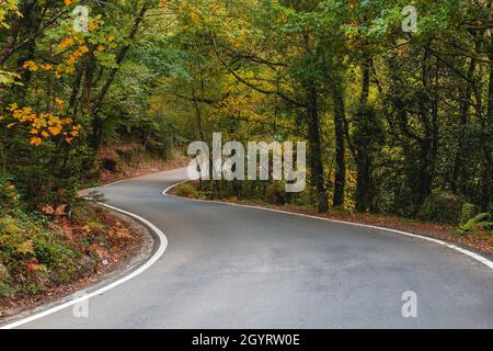 Strada curvilinea a Mata da Albergaria, foglie temperate e boschi misti nel Parco Nazionale Peneda-Gerês, Portogallo Foto Stock