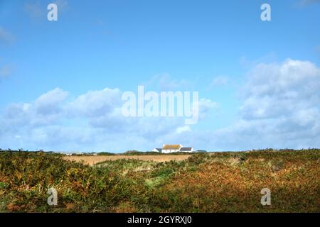 Carn-Nwchyn vicino a St David's, visto in una giornata estiva con cielo blu. Visto dal Pembrokeshire Coastal Path sopra Caerfai Bay, Galles, Regno Unito Foto Stock