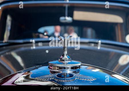 Sheringham, Norfolk, UK - SETTEMBRE 14 2019: Ornamento con logo ad alette sul cofano dell'auto d'epoca Bentley Mark VI Foto Stock