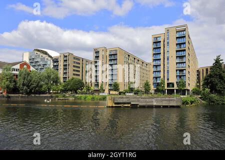 Alloggi a Clippers Quay, Salford Quays, Manchester, Lancashire, Inghilterra, REGNO UNITO Foto Stock