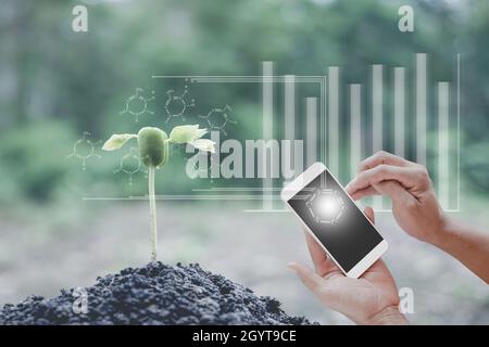 Tecnologia innovativa per biologia intelligente, Bio, sistema, gestione agricoltura piante di semina, smartphone con supporto manuale giovane uomo con tecnologia intelligente Foto Stock