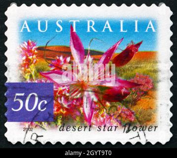 AUSTRALIA - CIRCA 2002: Un francobollo stampato in Australia mostra Desert Star Flower, Calytrix Carinata, arbusto fiorito, circa 2002 Foto Stock