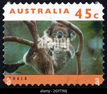 AUSTRALIA - CIRCA 1994: Un timbro stampato in Australia mostra Koala in albero, circa 1994 Foto Stock