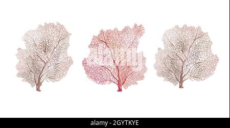 Set acquerello di corallo beige. Isolato di fondo bianco Foto Stock