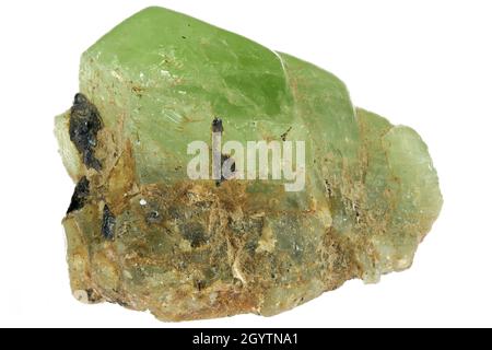 Peridotto dalla Valle di Kohistan, Pakistan isolato su sfondo bianco Foto Stock