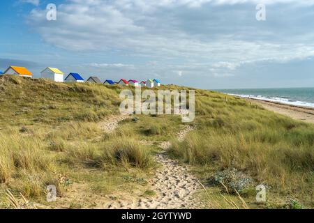 Bunte Strandhäuser in den Dünen am Strand von Gouville-sur-Mer, Normandie, Frankreich | MULTICUORED Beach Huts nelle dune di Gouville-sur-Mer BE Foto Stock