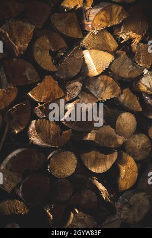 Legno Foto Stock