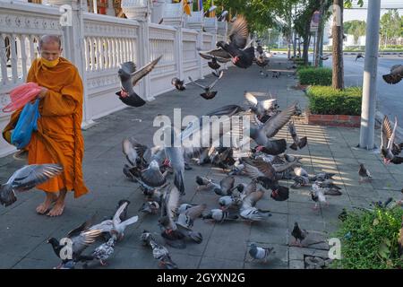 Un monaco buddista thailandese a piedi nudi cammina accanto a un gregge di piccioni fuori Wat (tempio) Ratchaburana (Wat Liab), a Bangkok, in Thailandia Foto Stock