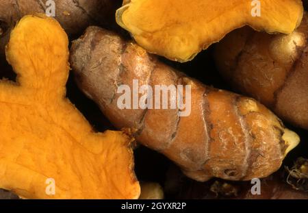 AFFETTARE E RIZOMI CURMERICI RACCOLTI DI FRESCO. Foto Stock