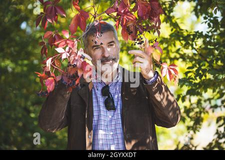 Ritratto di una coppia matura di 50 anni in un parco autunnale.Un uomo maturo che si posa sullo sfondo di addensati di uve selvatiche. Foto Stock