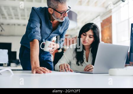 Collaborare all'ultimo progetto. Un uomo d'affari maturo e concentrato che lavora in squadra con la sua collega in un ufficio moderno. Due colleghi hanno un disGU Foto Stock
