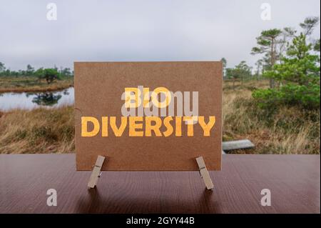 Testo biodiversità sulla scheda sul tavolo con sfondo palude. Vista della palude con sentiero in legno, laghetti e pini. Sentiero escursionistico con passeggiata in legno Foto Stock