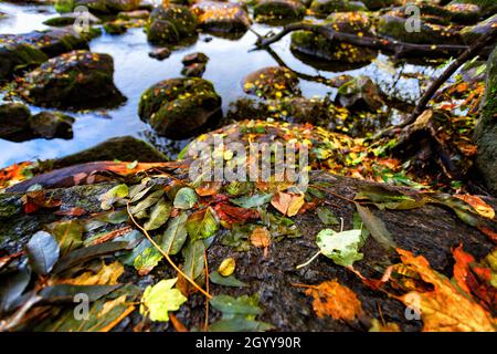 Belle foglie autunnali su grandi pietre in acqua Foto Stock