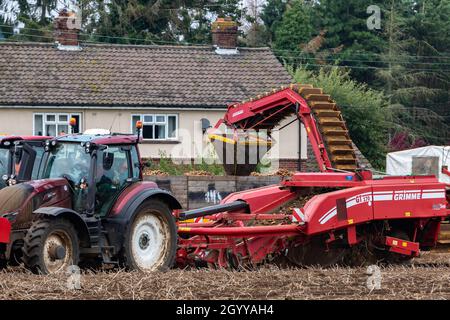 Woodbridge Suffolk UK agosto 16 2021: Raccolta di patate nel Regno Unito al culmine di una pandemia globale che ha avuto gravi problemi nelle linee di approvvigionamento globali e. Foto Stock