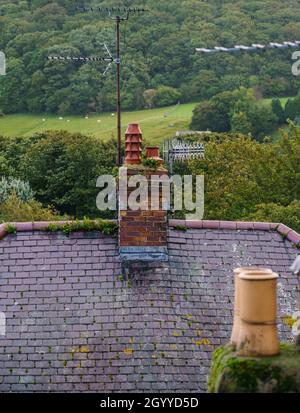 Pentole di camino sul tetto visto dal livello degli occhi sulla passeggiata medievale delle mura della città di Conwy Foto Stock