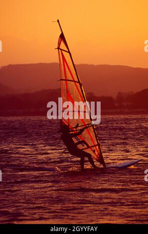 Windsurf sul Gareloch, Scozia al tramonto Foto Stock