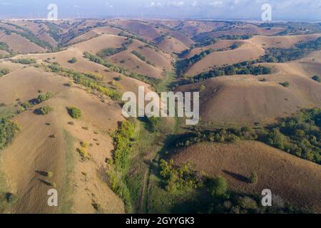 Immagine aerea di bellissimo paesaggio di colline Zagajicka, dune di sabbia ricoperte di erba e alberi sparare dal drone in autunno Foto Stock