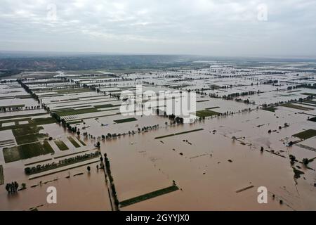 (211010) -- HEJIN, 10 ottobre 2021 (Xinhua) -- Foto aerea scattata il 10 ottobre 2021 mostra la spiaggia del Fiume giallo colpita dalle alluvioni vicino al Villaggio di Lianbo nella città di Hejin, nella provincia di Shanxi della Cina settentrionale. Più di 120,000 persone sono state evacuate temporaneamente dopo continue deflussi innescati alluvioni nella provincia di Shanxi nella Cina settentrionale, ha detto le autorità Domenica. Le inondazioni hanno sconvolto la vita di 1.76 milioni di residenti provenienti da 76 contee, città e distretti, secondo il dipartimento provinciale di gestione delle emergenze. Circa 190,000 ettari di colture sono stati danneggiati e più di 17,000 case collap Foto Stock