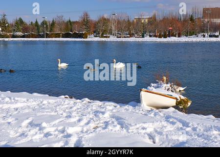 Piccola barca a remi in legno sul lago sotto la neve, mentre cigni bianchi nuotano sul lago sullo sfondo Foto Stock