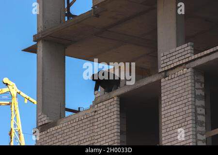 Alto edificio in costruzione e foto di silhouette di lavoro Foto Stock
