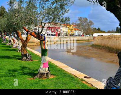 Alberi vestiti lungo le rive del fiume Arade in Silves Portogallo Foto Stock