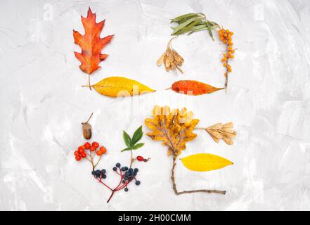 Parola AMORE fatto di foglie autunnali pigmentate e bacche vibranti disposti su un fondo concreto Foto Stock