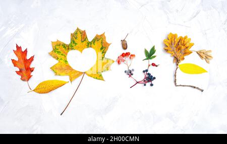 Parola AMORE fatto di foglie di autunno pigmentato e bacche disposti su un tavolo in cemento Foto Stock