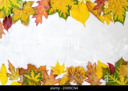 Vibrante sfondo autunnale fatto di vivide foglie pigmentate su un tavolo in cemento con spazio di copia. Foto Stock