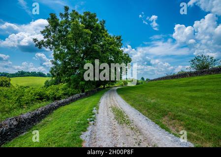 Country Road and Stone Wall - Shakertown - Contea di Mercer - Kentucky Foto Stock