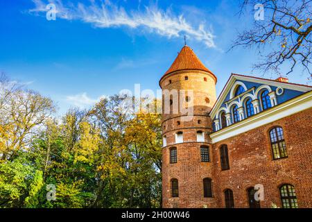 Castello Gotico-rinascimentale e Giardino Paesaggio di Raudondvaris Foto Stock