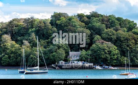 Vista del Quay Greenway dal villaggio di Dittisham sul fiume Dart, South Devon, Inghilterra, Regno Unito Foto Stock