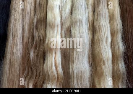 Le estensioni dei capelli si avvicinano. Capelli lunghi e di colore chiaro. Colori delle estensioni dei capelli. Capelli biondi naturali Foto Stock