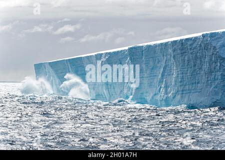 Grande iceberg tabulare calving al mare. Oceano Meridionale, Antartico, Antartide Foto Stock