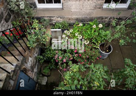 Giardino piano seminterrato in autunno nella città nuova, Edimburgo, Scozia, Regno Unito. Foto Stock