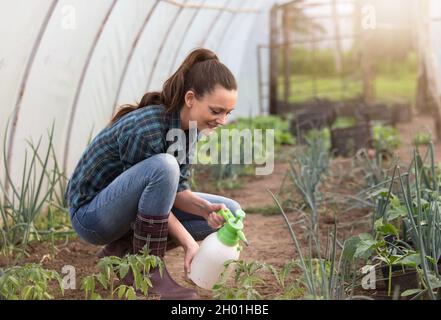 Donna contadina spruzzando verdure con prodotti chimici in serra Foto Stock