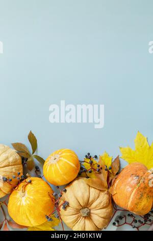 Sfondo minimo creativo. Caduta, caduta, concetto di ringraziamento. Zucche autunnali di fondo con foglie autunnali su sfondo di carta blu. Piatto, parte superiore Foto Stock