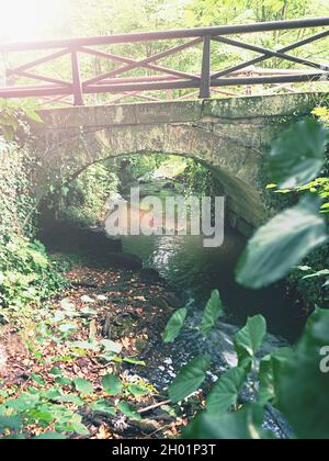 Sentiero a piedi ponte di pietra su piccolo torrente al giardino autunnale nel parco del castello Hermanuv Mestec, Czechia.. Foto Stock