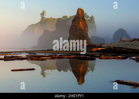 Mattina nebbia su Ruby Beach, Olympic National Park, Washington Foto Stock