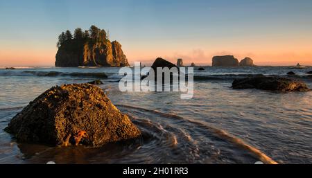 Tramonto su Second Beach, la Push, Olympic National Park, Washington Foto Stock