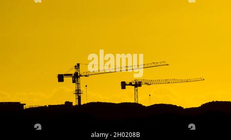 Industria edilizia e sviluppo. Gru al lavoro contro il cielo dorato del tramonto Foto Stock
