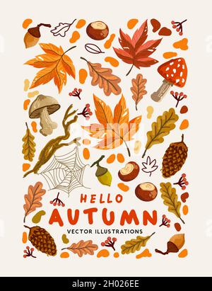 Una collezione di elementi naturali autunnali. Illustrazione vettoriale del disegno di sfondo autunnale. Illustrazione Vettoriale