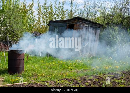 fumo nel paese in estate, combustione barile, incenerimento dei rifiuti in loco, fuoco nel paese Foto Stock