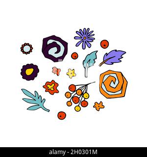 Set di fiori di Doodle. Colorare piante astratte, boccioli, bacche isolate su sfondo bianco. Foglie, petali disegnate a mano. Segni decorativi. Halloween stilizzato Illustrazione Vettoriale