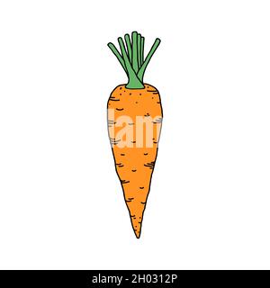 Carota in stile doodle Illustrazione Vettoriale