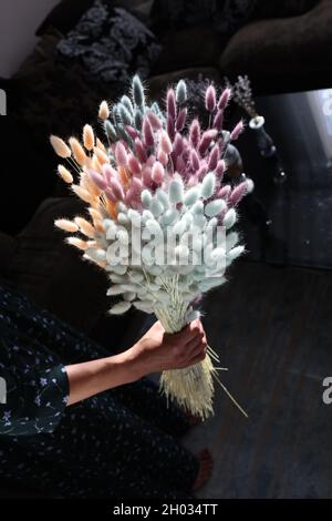 Donna tiene in mano bouquet di fiori secchi multicolore lagurus Foto Stock