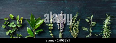 Panorama di erbe fresche, scattato dall'alto su un sfondo rustico scuro in legno con spazio copia. Rosmarino, lavanda, foglia di alloro, timo, salvia ecc. Foto Stock